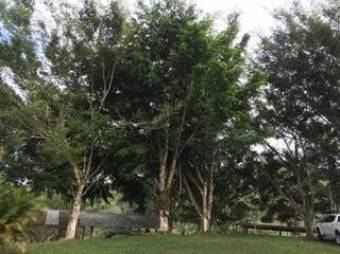 MLS-26-1245 LS VENTA LOTE LA SUIZA TURRIALBA CONTACTENOS AL  86127562