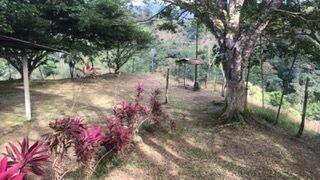 MLS-26-1245 LS VENTA LOTE LA SUIZA TURRIALBA CONTACTENOS AL  86127562