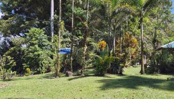 Venta finca 6 hectáreas con río y alto potencial ecológico #26-1865 GS