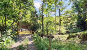 Venta finca 6 hectáreas con río y alto potencial ecológico #26-1865 GS