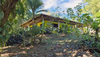 Venta finca 6 hectáreas con río y alto potencial ecológico #26-1865 GS