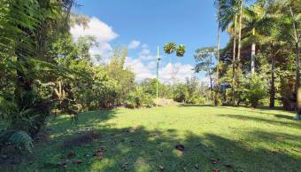 Venta finca 6 hectáreas con río y alto potencial ecológico #26-1865 GS