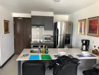 APARTAMENTO AMUEBLADO EN LA SABANA 1 HABITACIÓN ALQUILER