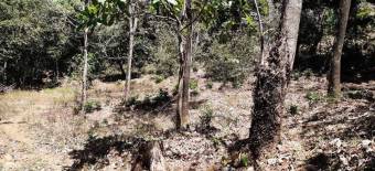 Venta de propiedad en San Pablo Centro Venta de propiedad en San Pablo Centro