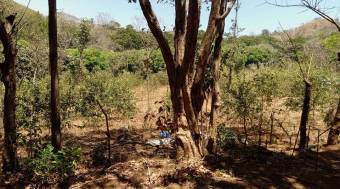 Venta de propiedad en San Pablo Centro Venta de propiedad en San Pablo Centro