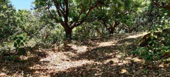 Venta de propiedad en San Pablo Centro Venta de propiedad en San Pablo Centro