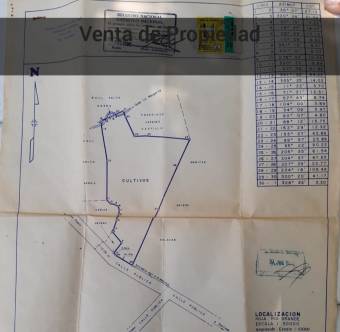 Venta de propiedad en San Pablo Centro Venta de propiedad en San Pablo Centro