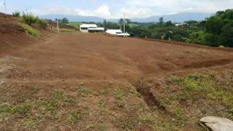 V#153 Atractivo Lote en Venta/Grecia-Alajuela