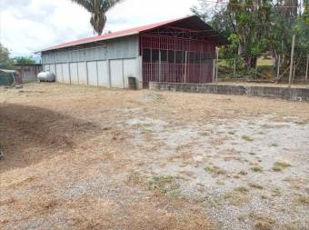 Venta de local comercial, ₡ 32,000,000, 1, Puntarenas, Coto Brus