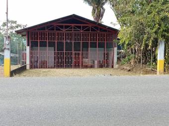 Venta de local comercial, ₡ 32,000,000, 1, Puntarenas, Coto Brus