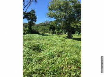 V#415 Amplio Terreno de Venta en Guayabo ,Guanacaste