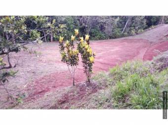 Lote en Nandayure