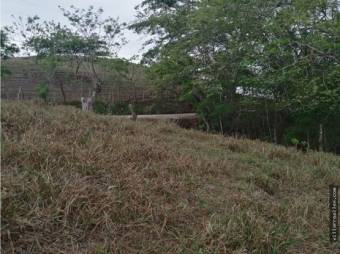 V#412 Amplia Finca de Venta en Guanacaste 