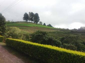 Venta de amplio terreno en Pacayas, Cartago. #21-33