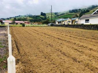 Venta de amplio terreno en Pacayas, Cartago. #21-33