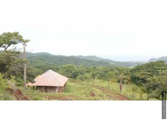 V#376 FINCA EN VENTA EN GUANACASTE / NEGOCIABLE