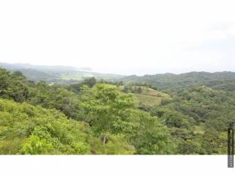 V#376 FINCA EN VENTA EN GUANACASTE / NEGOCIABLE