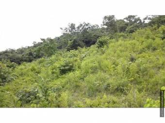 V#376 FINCA EN VENTA EN GUANACASTE / NEGOCIABLE