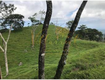 V#368 ESPECTACULAR FINCA EN VENTA EN TAMBOR / GUANACASTE.