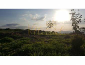 V#366 FINCA EN VENTA EN QUEBRADA GRANDE LOS ÁNGELES / GUANACASTE