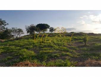 V#366 FINCA EN VENTA EN QUEBRADA GRANDE LOS ÁNGELES / GUANACASTE