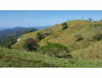 V#362 ASOMBROSA FINCA EN LOS ÁNGELES DE NANDAYURE / GUANACASTE