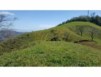 V#362 ASOMBROSA FINCA EN LOS ÁNGELES DE NANDAYURE / GUANACASTE