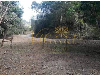 V#360 VENTA DE FINCA EN RÍO DE ORA NANDAYURE / GUANACASTE