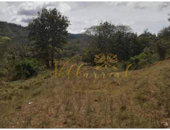 V#360 VENTA DE FINCA EN RÍO DE ORA NANDAYURE / GUANACASTE