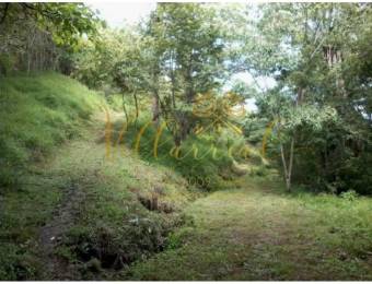 V#359 VENTA DE FINCA EN ZAPOTAL DE NANDAYURE / GUANACASTE