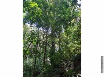 V#290 Espectacular Finca en Venta/Guanacaste