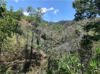 V#290 Espectacular Finca en Venta/Guanacaste