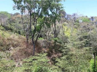 V#290 Espectacular Finca en Venta/Guanacaste