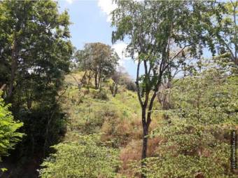 V#290 Espectacular Finca en Venta/Guanacaste