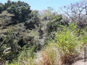 V#290 Espectacular Finca en Venta/Guanacaste