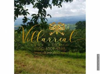 V#283 Hermoso Lote en Venta/Puriscal