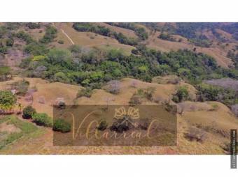 V#261 Grandiosa Finca con Casa en Venta/Guanacaste