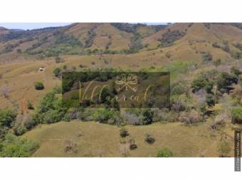 V#252 Amplia Finca en Venta/Hojancha-Guanacaste