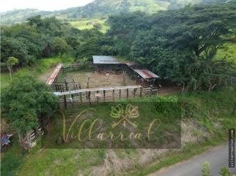 V#252 Amplia Finca en Venta/Hojancha-Guanacaste