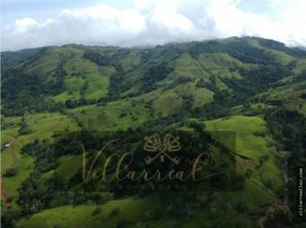 V#252 Amplia Finca en Venta/Hojancha-Guanacaste