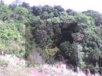 V#246 Espectacular Finca en Venta/Hojancha-Guanacaste