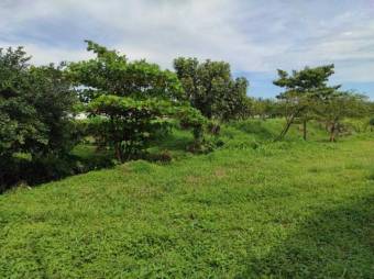 Terreno Estrategico en Venta, AV CENTRAL DE GUAPILES.         CG-20-2044