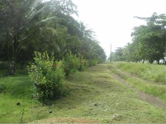 Estrategica Finca en Venta, Tortuguero Guapiles.         CG-20-1192