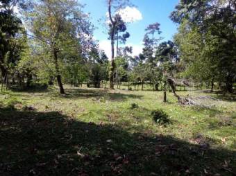 Excelente Finca con todos los Servicios en Venta, Toro Amarillo Guapiles.     CG-20-657