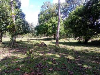 Excelente Finca con todos los Servicios en Venta, Toro Amarillo Guapiles.     CG-20-657