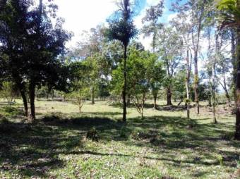 Excelente Finca con todos los Servicios en Venta, Toro Amarillo Guapiles.     CG-20-657