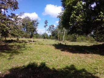 Excelente Finca con todos los Servicios en Venta, Toro Amarillo Guapiles.     CG-20-657