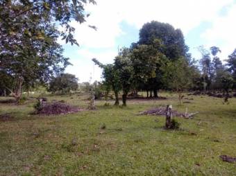 Excelente Finca con todos los Servicios en Venta, Toro Amarillo Guapiles.     CG-20-657