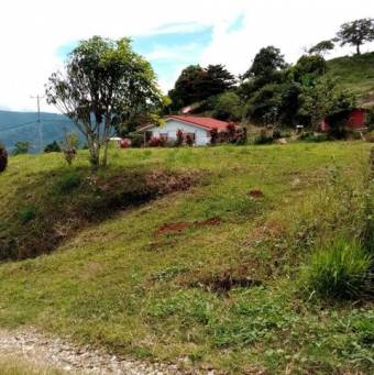 MLS-22-2419 VENTA LOTE SANTA CRUZ TURRIALBA