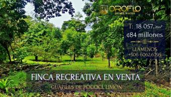 FINCA RECREATIVA EN VENTA.   GUÁPILES DE POCOCÍ, LIMÓN #70201eb